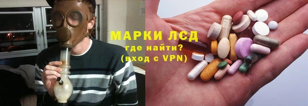 spice Аркадак